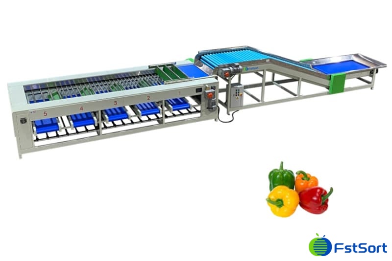 images/1681981040117bell pepper grading machine.jpg